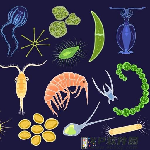 光遇：国服三服古怪的一幕呈现？三个不同先祖一起返场！