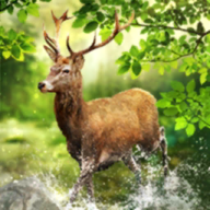 神魔之塔神秘封印神秘封印系统揭秘